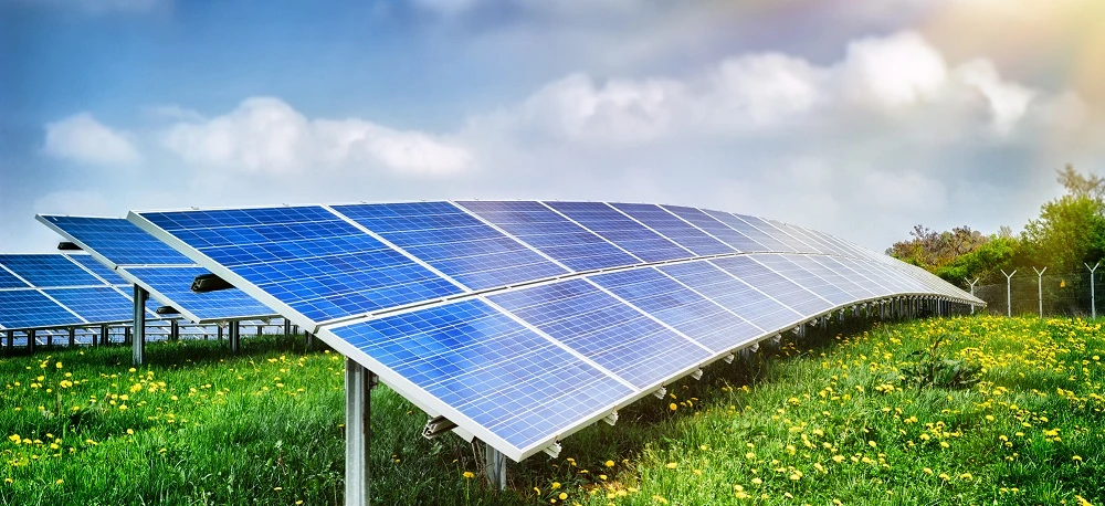 A solar panel array in a field, providing clean energy for an agricultural plantation. Harnessing solar power to enhance crop production.
