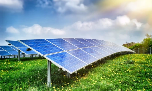 A solar panel array in a field, providing clean energy for an agricultural plantation. Harnessing solar power to enhance crop production.