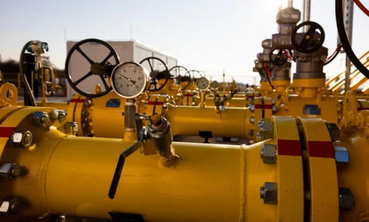 Kolejna fala mrozu w Europie wystraszyła inwestorów