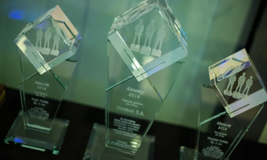 Silver trophy award displayed in a transparent case showcasing its design made of natural materials. Winner of the 2014 Akcenty award from the company Unimot S.A.
