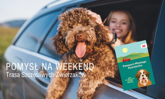 Trasa Szczęśliwych Zwierzaków – idealny plan na rodzinny weekend