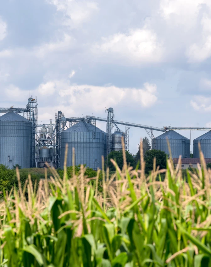 Magazyn rolniczy stoi na polu uprawnym z kombajnem w ruralnej okolicy. Gospodarstwo rolne z zieloną trawą i działkami ziemi.