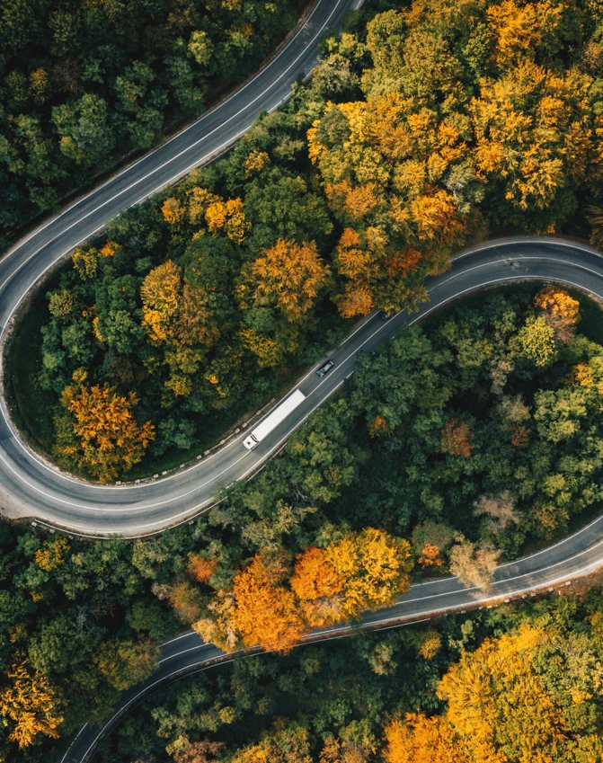 Widok z lotu ptaka na autostradę z ograniczonym dostępem wijącą się przez gęsty las wiekowych drzew w przełęczy górskiej. Zdjęcie stockowe występującej autostrady przebijającej się przez umiarkowany las liściasty i mieszany.